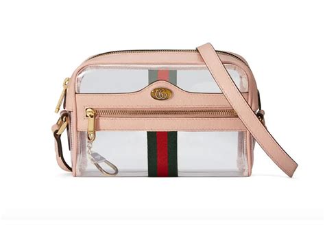 clear plastic gucci bag